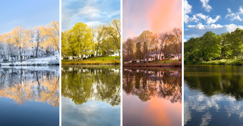 🎨 Visiting Artist Spotlight: Ellen Foust